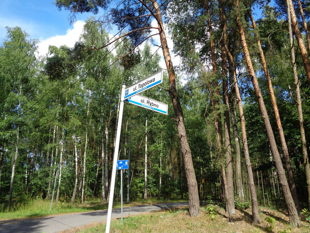 Działka Sprzedaż Wiktorów Rybno