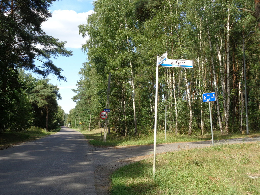 Działka Sprzedaż Wiktorów Rybno