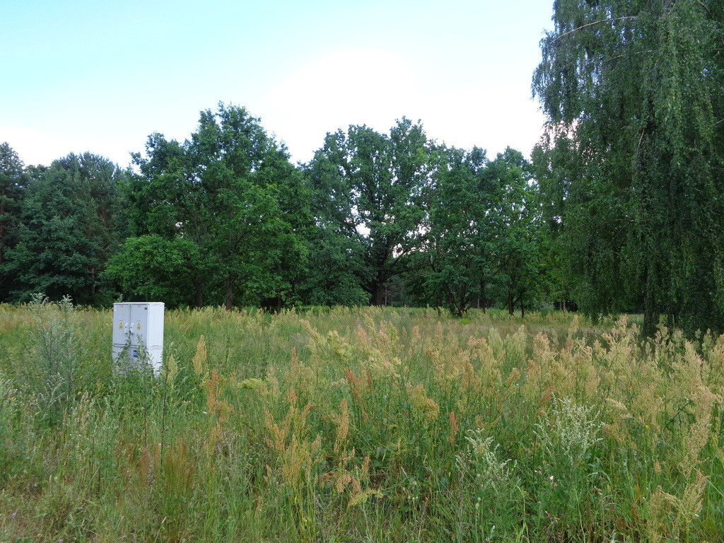Działka Sprzedaż Wiktorów Rybno