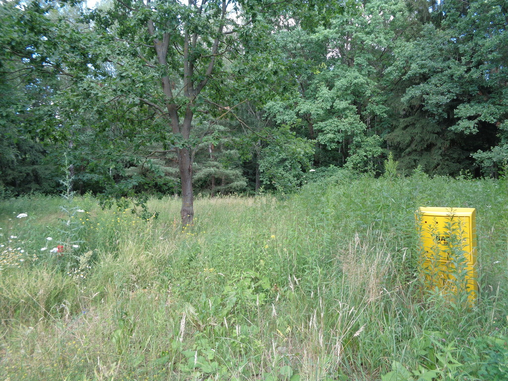 Działka Sprzedaż Wiktorów Rybno