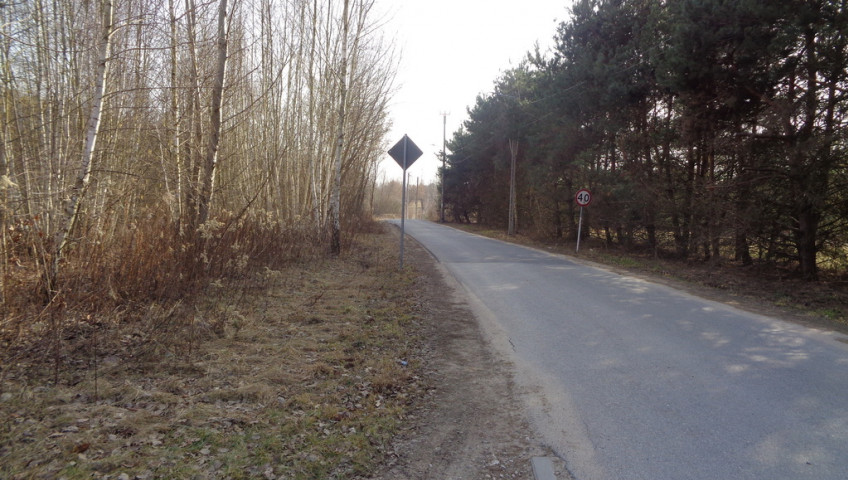 Działka Sprzedaż Powązki Borowikowa